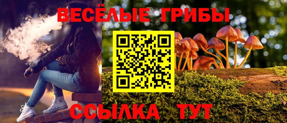 Псилоцибиновые грибы Psilocybine cubensis Грязи