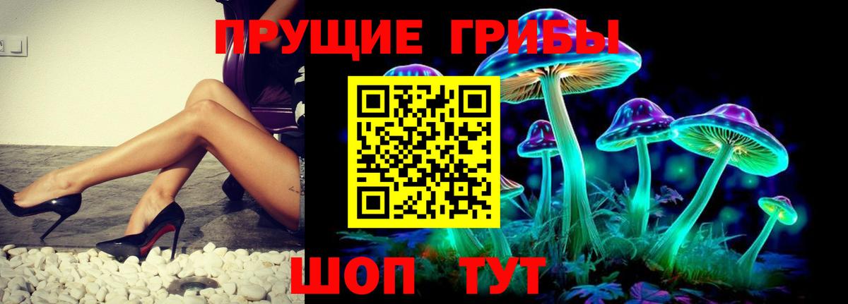 сколько стоит  Вход с VPN  Псилоцибиновые грибы Magic Shrooms  Грязи  Галлюциногенные грибы Cubensis 
